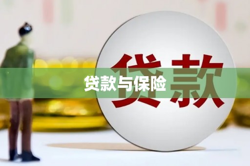 新会贷款与保险