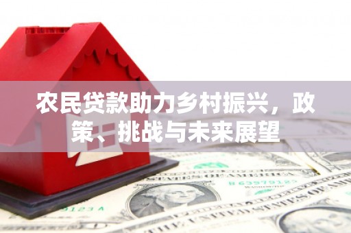 新会农民贷款助力乡村振兴，政策、挑战与未来展望