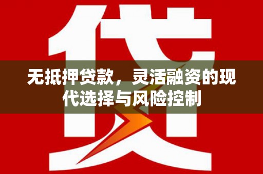 新会无抵押贷款，灵活融资的现代选择与风险控制