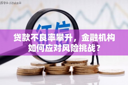 新会贷款不良率攀升，金融机构如何应对风险挑战？
