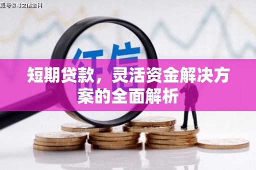 新会短期贷款，灵活资金解决方案的全面解析