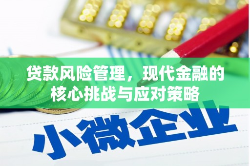 新会贷款风险管理，现代金融的核心挑战与应对策略