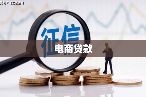 新会电商贷款