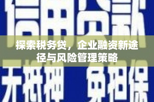 新会探索税务贷，企业融资新途径与风险管理策略