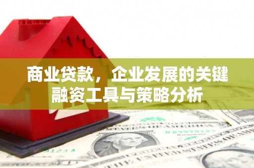新会商业贷款，企业发展的关键融资工具与策略分析