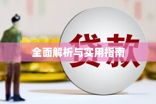 新会全面解析与实用指南