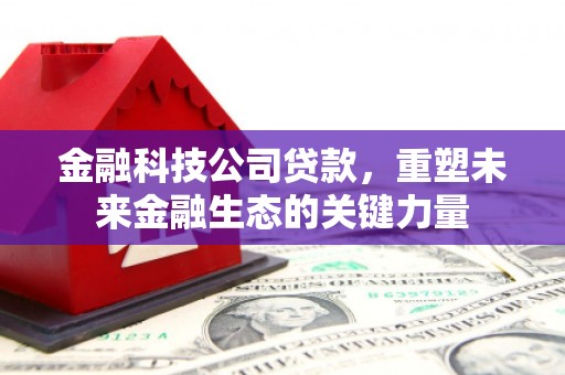 新会金融科技公司贷款，重塑未来金融生态的关键力量
