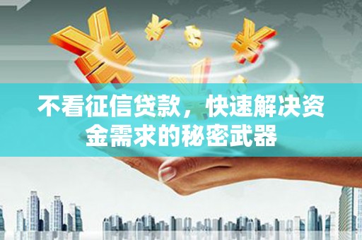 新会不看征信贷款，快速解决资金需求的秘密武器