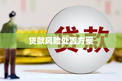 新会贷款风险处置方案