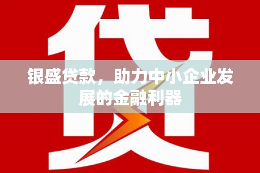 新会银盛贷款，助力中小企业发展的金融利器