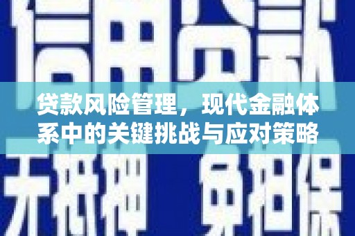 新会贷款风险管理，现代金融体系中的关键挑战与应对策略