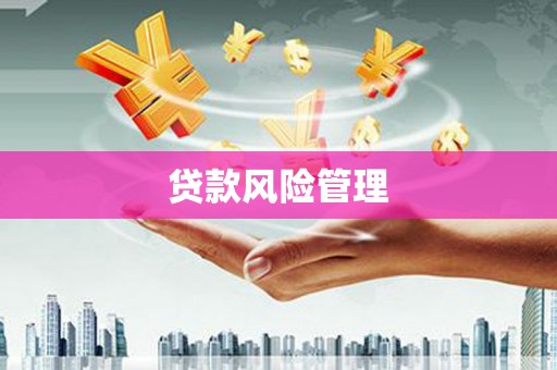 新会贷款风险管理