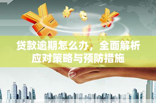 新会贷款逾期怎么办，全面解析应对策略与预防措施