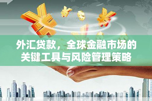 新会外汇贷款，全球金融市场的关键工具与风险管理策略