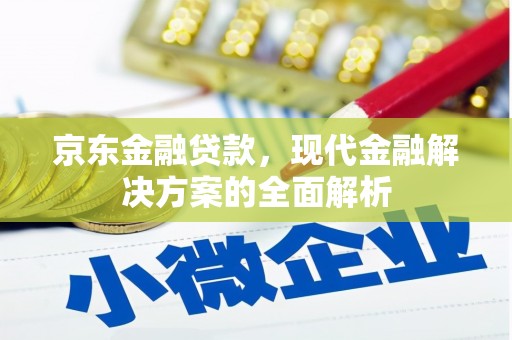 新会京东金融贷款，现代金融解决方案的全面解析
