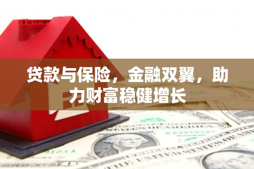 新会贷款与保险，金融双翼，助力财富稳健增长