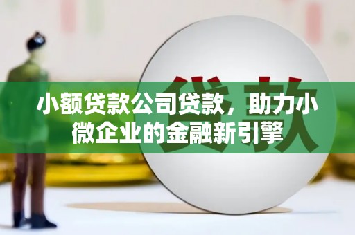 新会小额贷款公司贷款，助力小微企业的金融新引擎