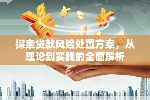 新会探索贷款风险处置方案，从理论到实践的全面解析