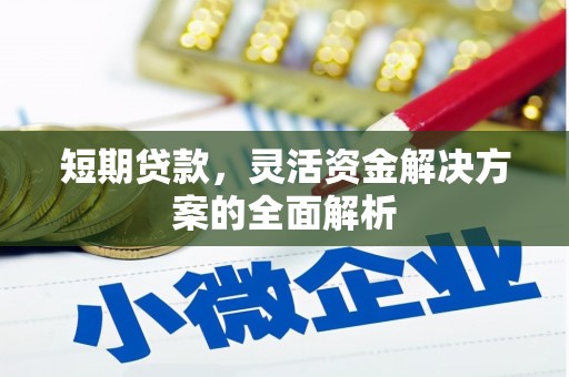 新会短期贷款，灵活资金解决方案的全面解析