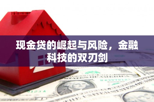 新会现金贷的崛起与风险，金融科技的双刃剑