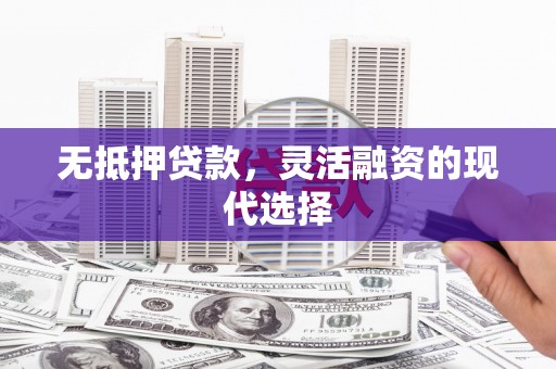 新会无抵押贷款，灵活融资的现代选择