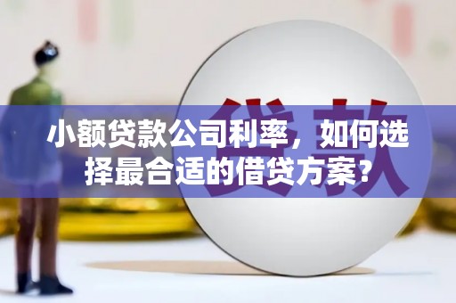 新会小额贷款公司利率，如何选择最合适的借贷方案？