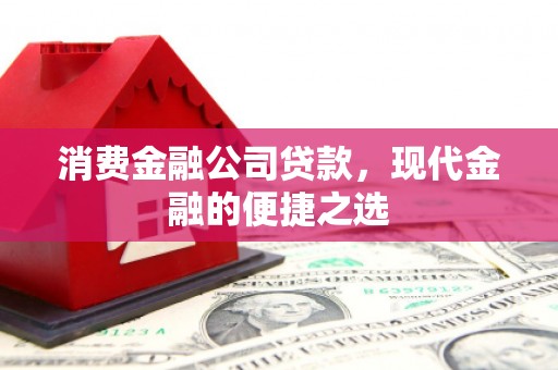 新会消费金融公司贷款，现代金融的便捷之选