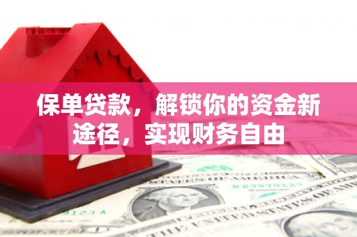 新会保单贷款，解锁你的资金新途径，实现财务自由
