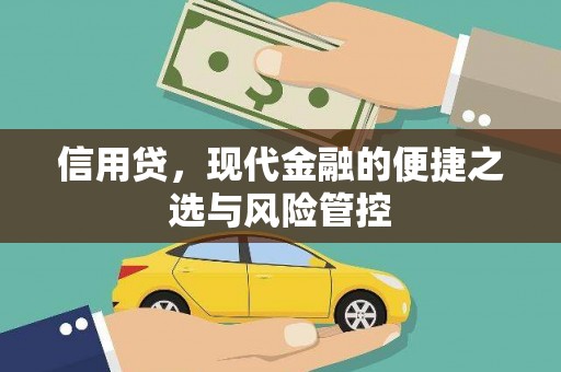 新会信用贷，现代金融的便捷之选与风险管控