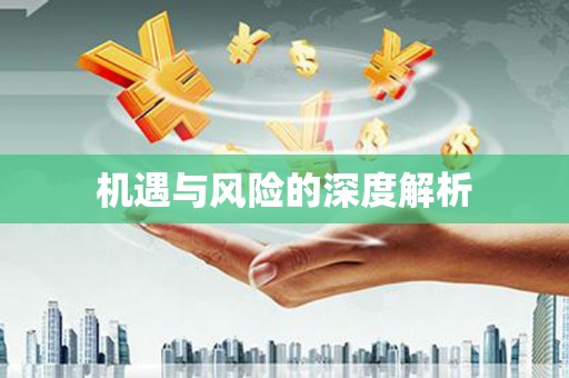 新会机遇与风险的深度解析