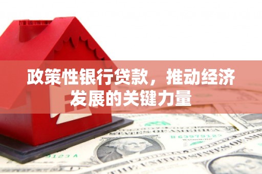新会政策性银行贷款，推动经济发展的关键力量