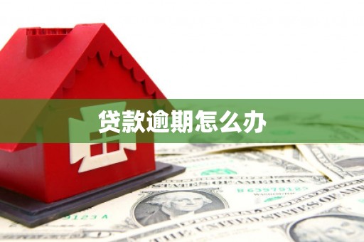 新会贷款逾期怎么办