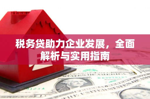 新会税务贷助力企业发展，全面解析与实用指南
