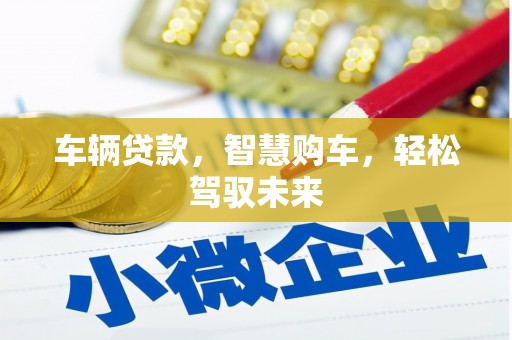 新会车辆贷款，智慧购车，轻松驾驭未来