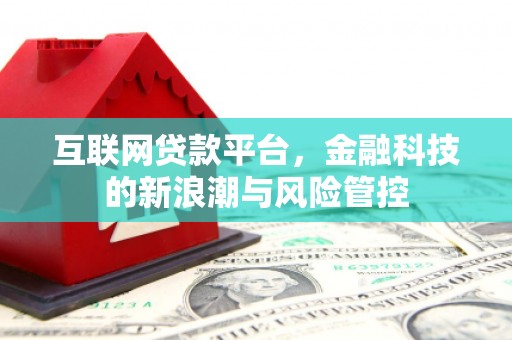 新会互联网贷款平台，金融科技的新浪潮与风险管控