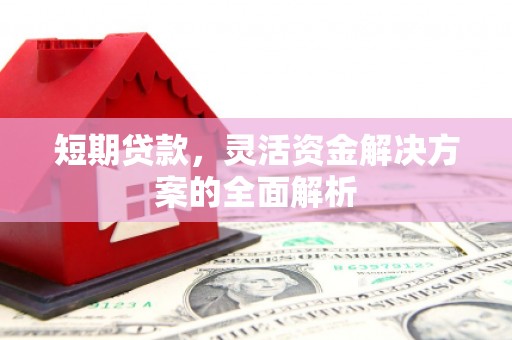 新会短期贷款，灵活资金解决方案的全面解析
