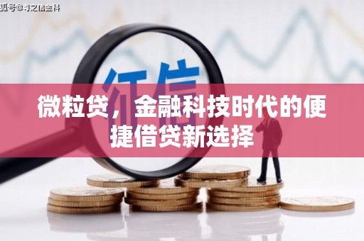新会微粒贷，金融科技时代的便捷借贷新选择