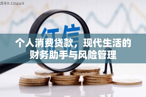 新会个人消费贷款，现代生活的财务助手与风险管理