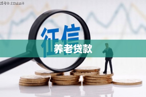 新会养老贷款