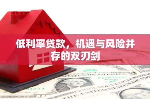 新会低利率贷款，机遇与风险并存的双刃剑