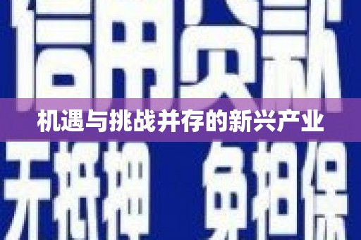 新会机遇与挑战并存的新兴产业