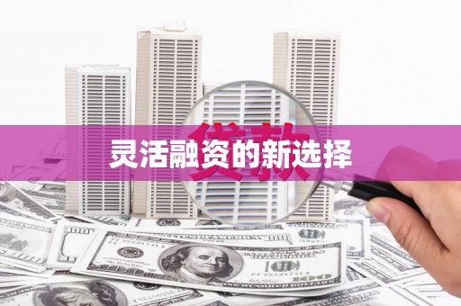 新会灵活融资的新选择