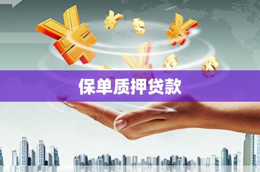 新会保单质押贷款