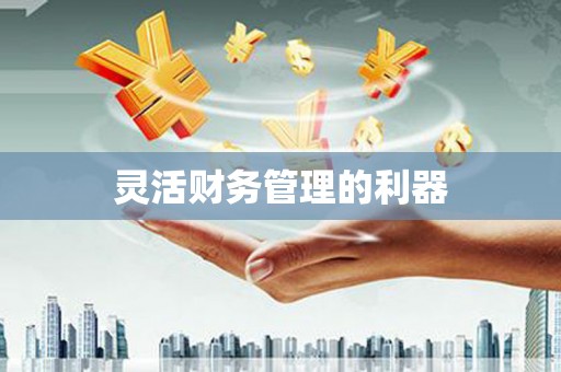 新会灵活财务管理的利器