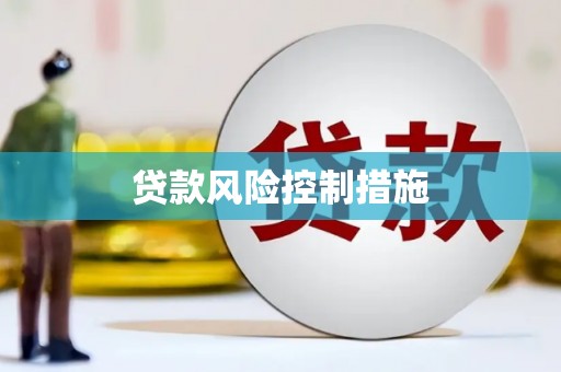 新会贷款风险控制措施
