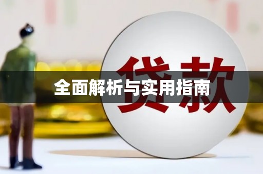 新会全面解析与实用指南