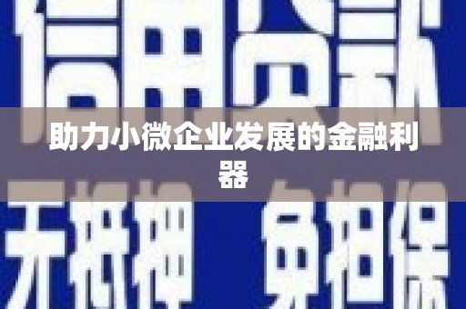 新会助力小微企业发展的金融利器