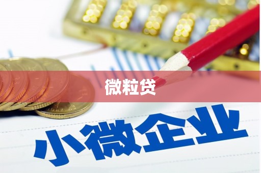 新会微粒贷