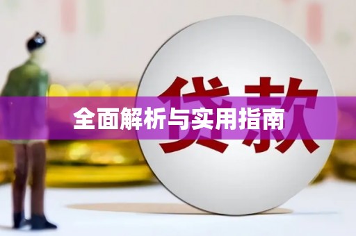 新会全面解析与实用指南
