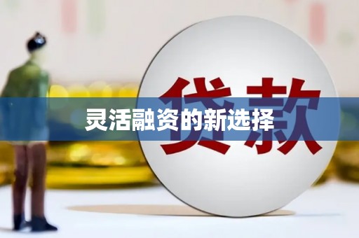 新会灵活融资的新选择